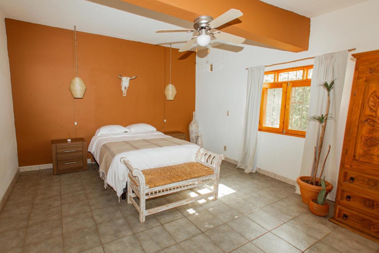 Cien Palmas- Authentic Mexican Casita 1 -Downtown Todos Santos Exterior photo